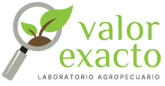 logo web
