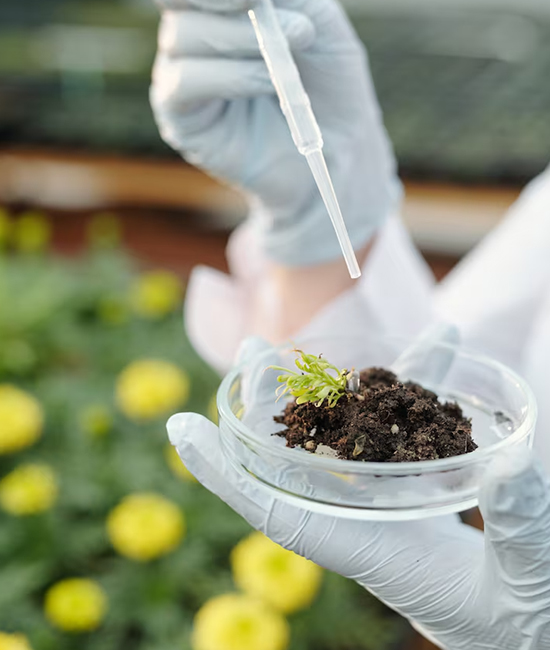 analisis fertilizantes